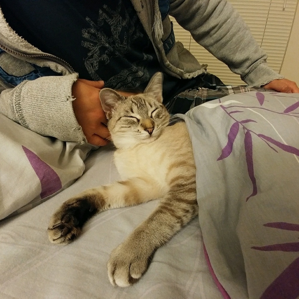 Meet your Posher, Cedric