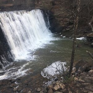 Meet your Posher, Priscilla