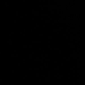 Meet your Posher, Kylee