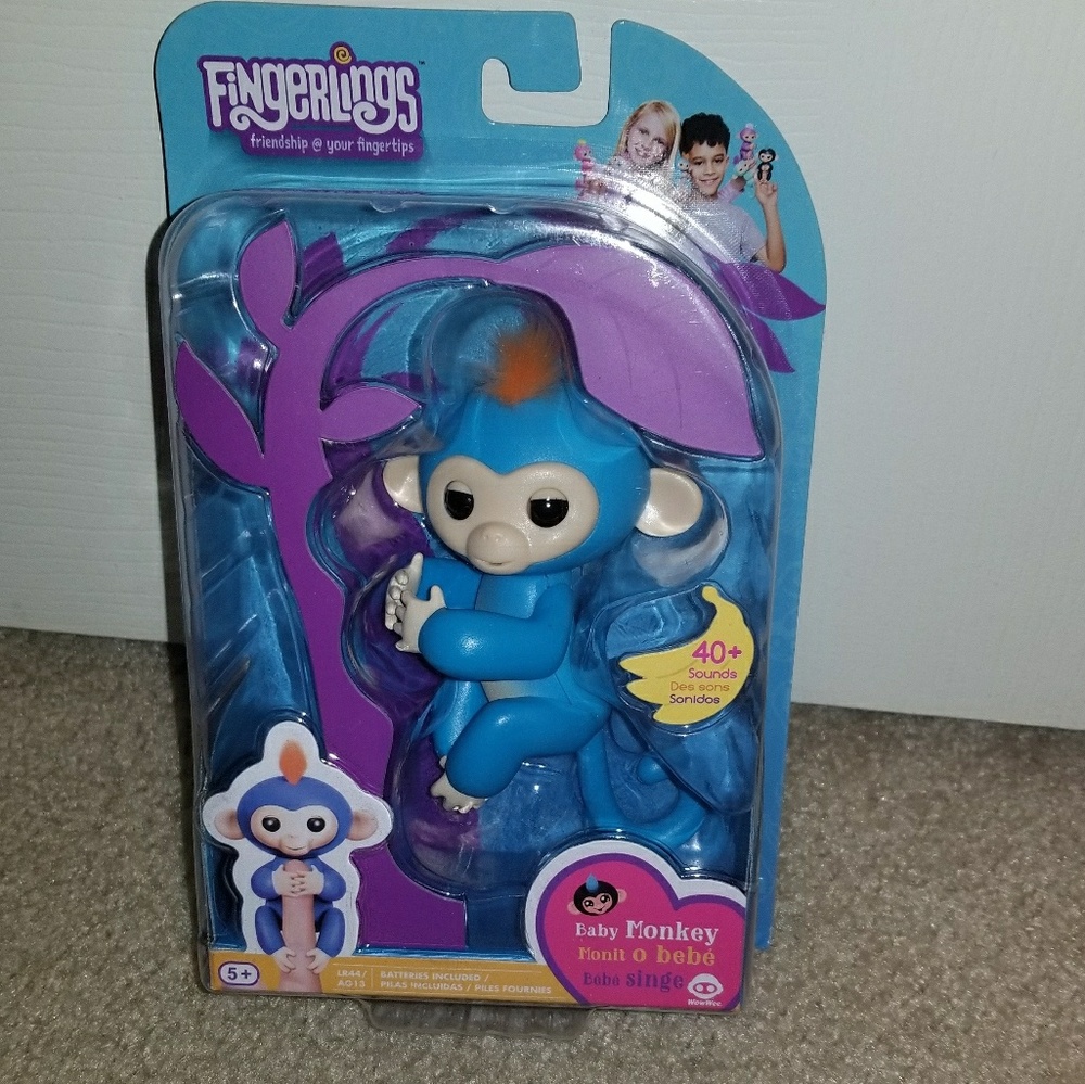 Fingerling Boris blue