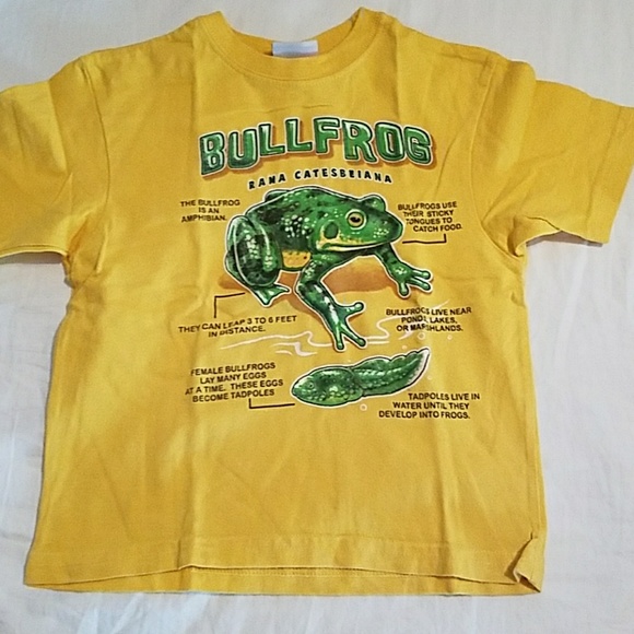 5 t.shirt bundle size 4t and 5t used in good condi - Picture 3 of 7