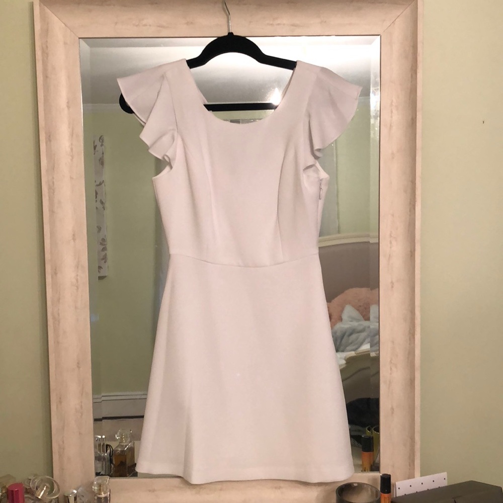 BCBG skater dress