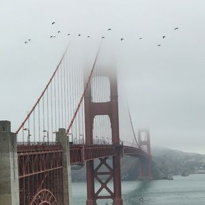 Meet your Posher, Ben