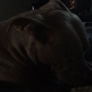 Meet your Posher, Izayah