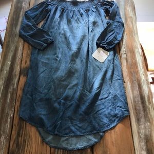 Maternity Isabel Chambray Dress