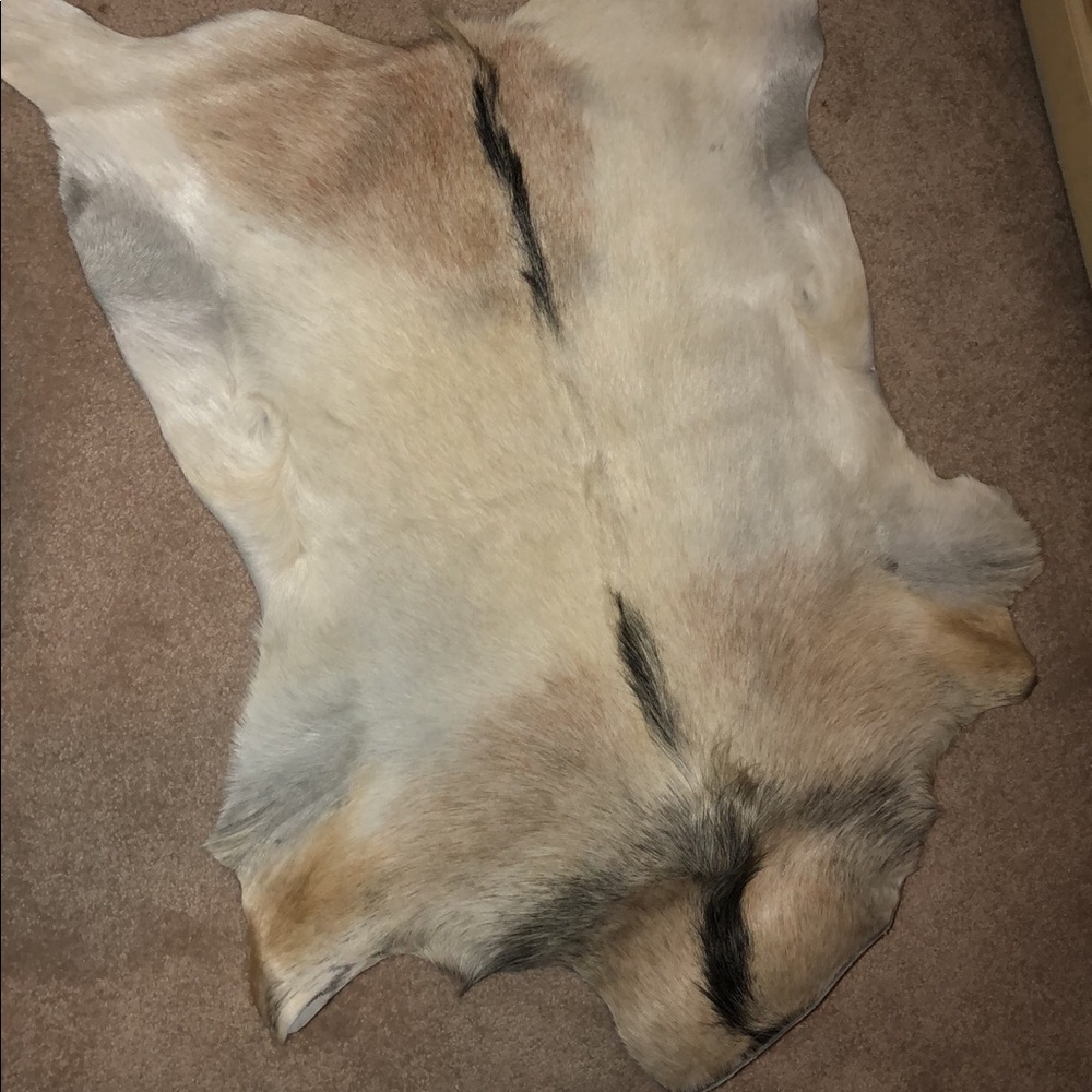 Rug