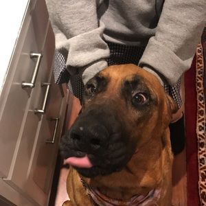 Meet your Posher, Quinn