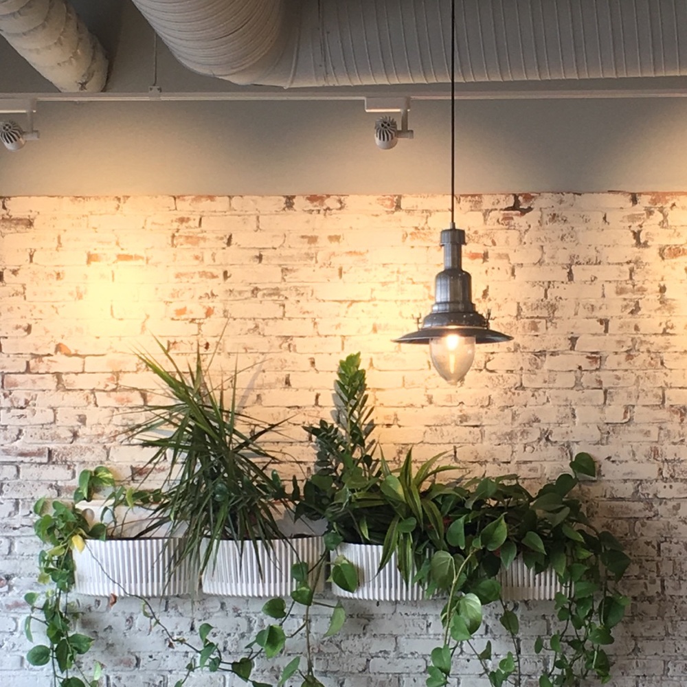 Meet your Posher, Lelys