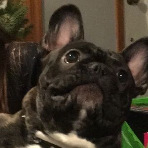 Meet your Posher, Kristen