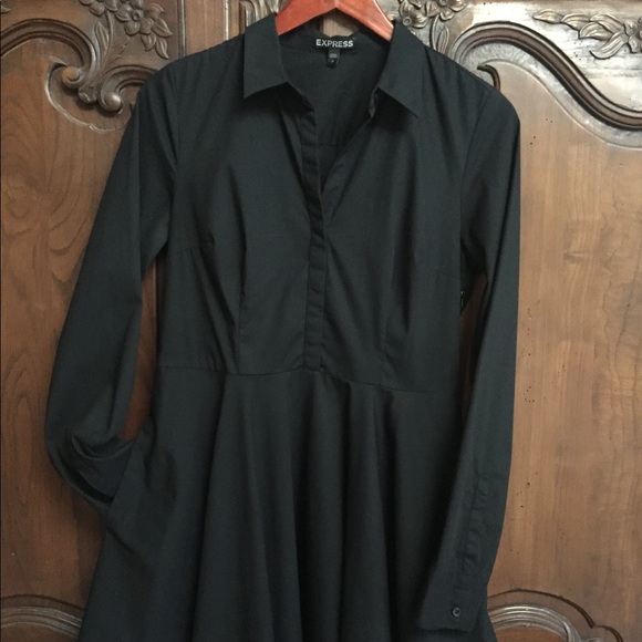 Express Button Down Dress - Picture 1 of 5
