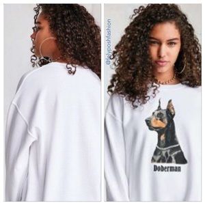 Urban Outfitters | Tops | Urban Outfitters Ripple 992 Doberman Sweatshirt |  Poshmark