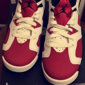 Air Jordan Carmine 6