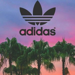 Meet your Posher, Jaime