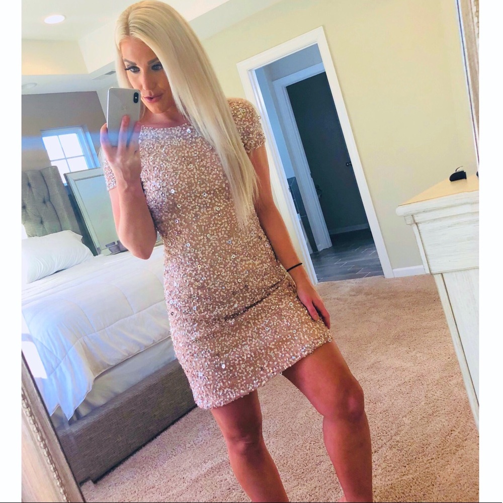 Adrianna Papell Pale Pink Sequin Dress Size 6