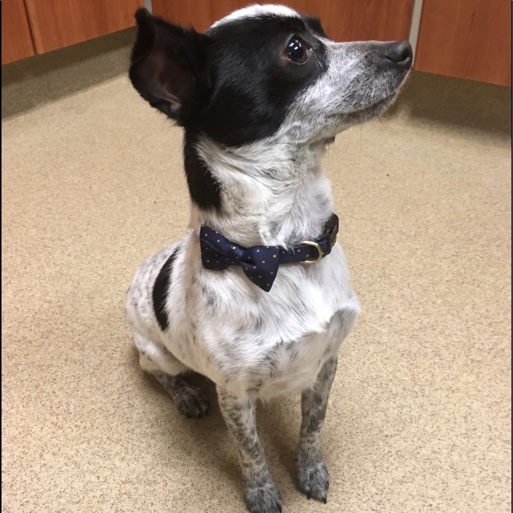 Meet your Posher, Jhilla