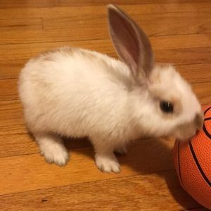 Meet your Posher, Derek