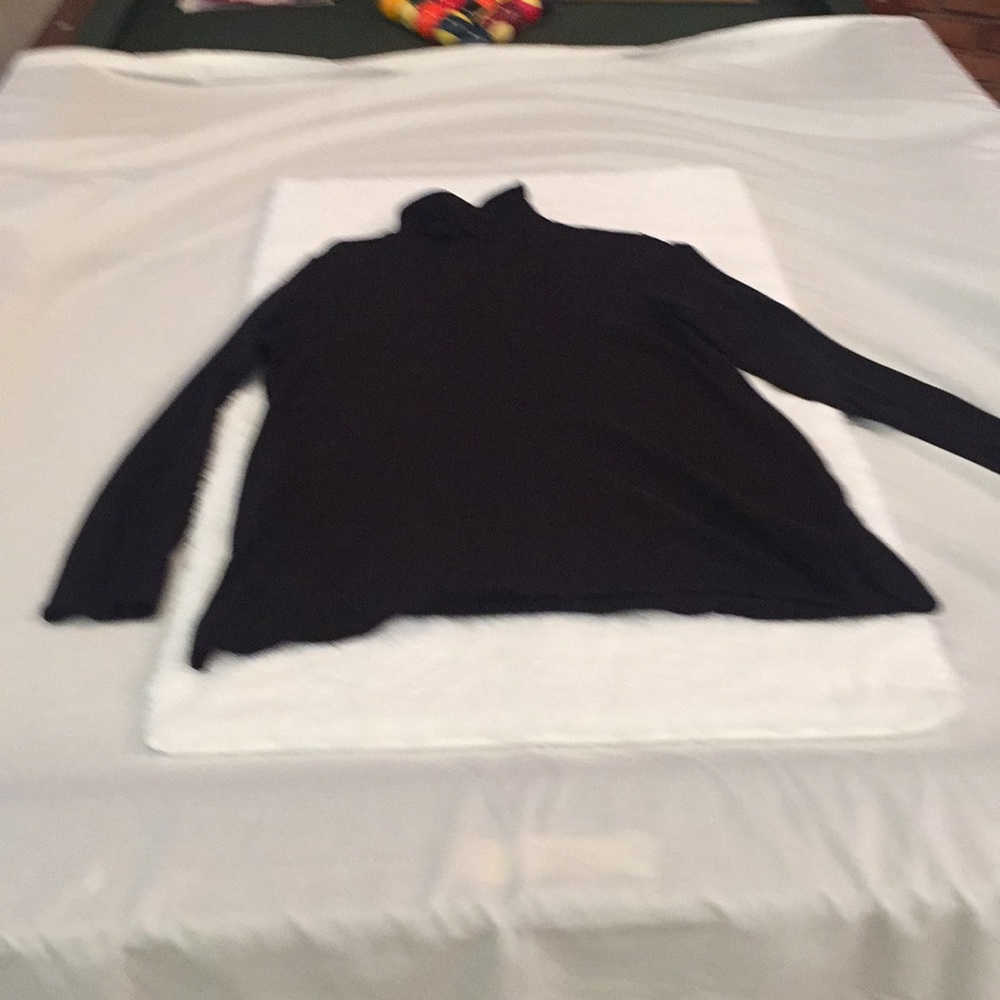 Chico long turtleneck.