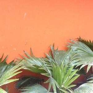 Meet your Posher, Lizeth