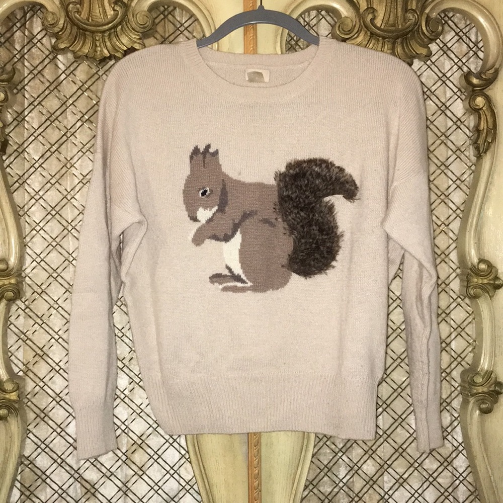 H&M Squirrel Sweater! MUCH CUTE! 🐿