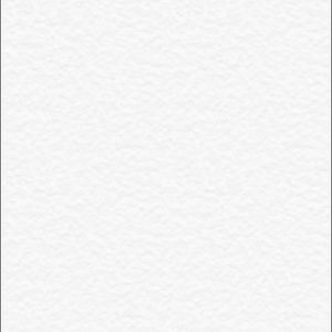 Meet your Posher, Abigail