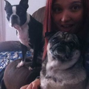 Meet your Posher, Maddison