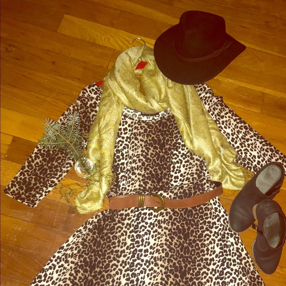 Leopard Print Skater Dress