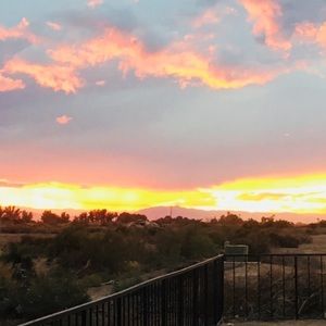 Meet your Posher, Johnny