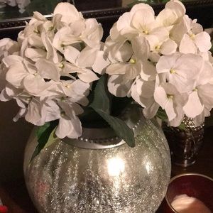 Meet your Posher, Johanna