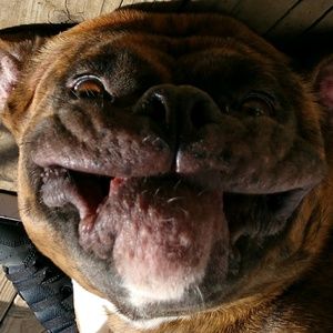 Meet your Posher, Etta