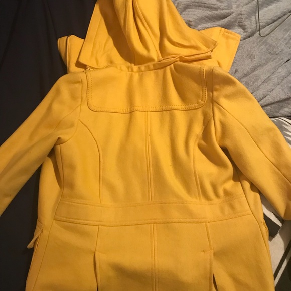 Yellow Jacket - Picture 4 of 5