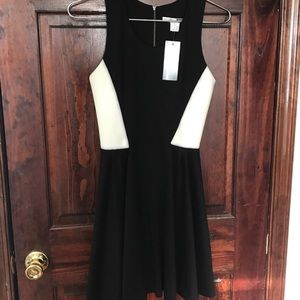 Black with White leather A Line dress