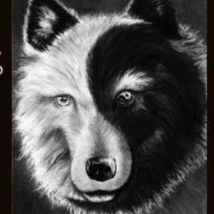 Meet your Posher, Evan