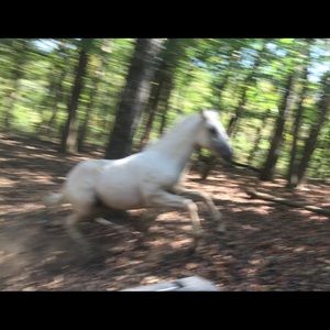 Meet your Posher, Roberta