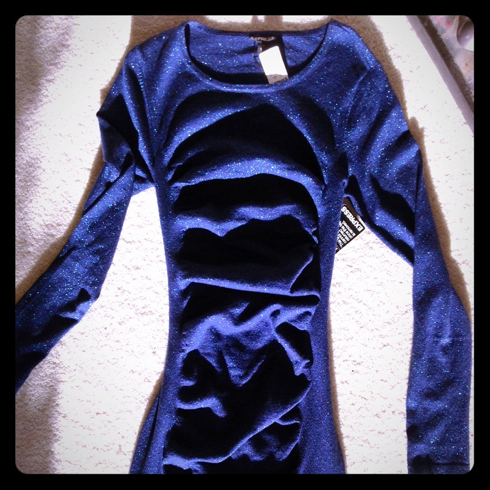 Shimmery Express Dress