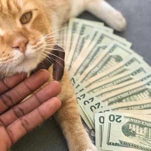 Meet your Posher, Johnny