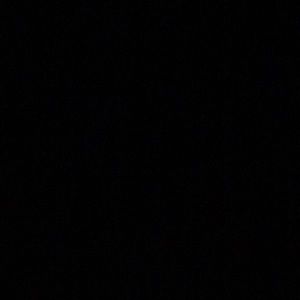 Meet your Posher, Roberto