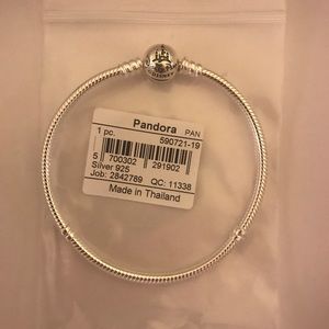 Pandora Disney park exclusive bracelet- BRAND NEW