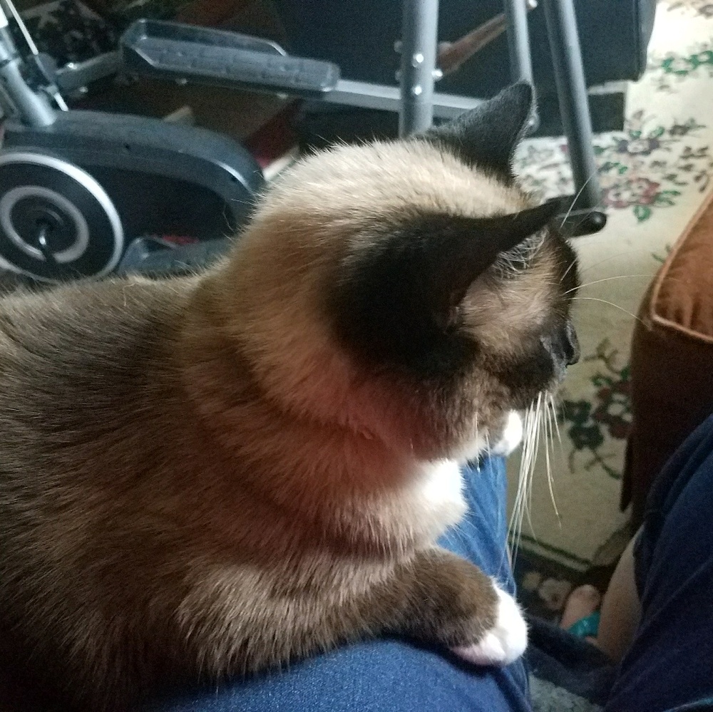 Meet your Posher, Debbie