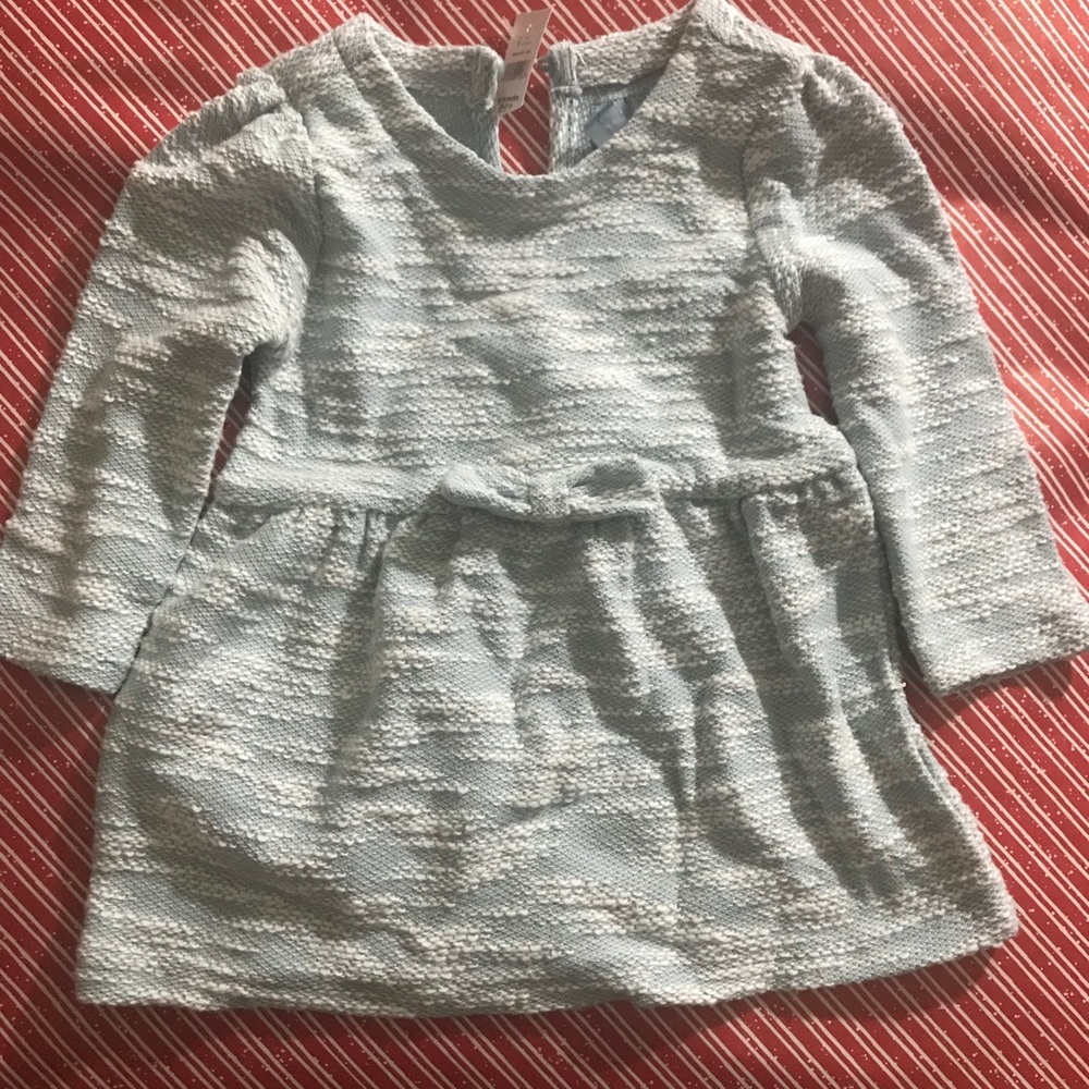 Baby Gap girls light blue long sleeve dress