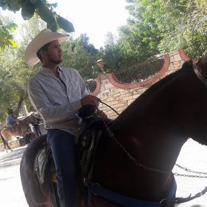 Meet your Posher, Armando