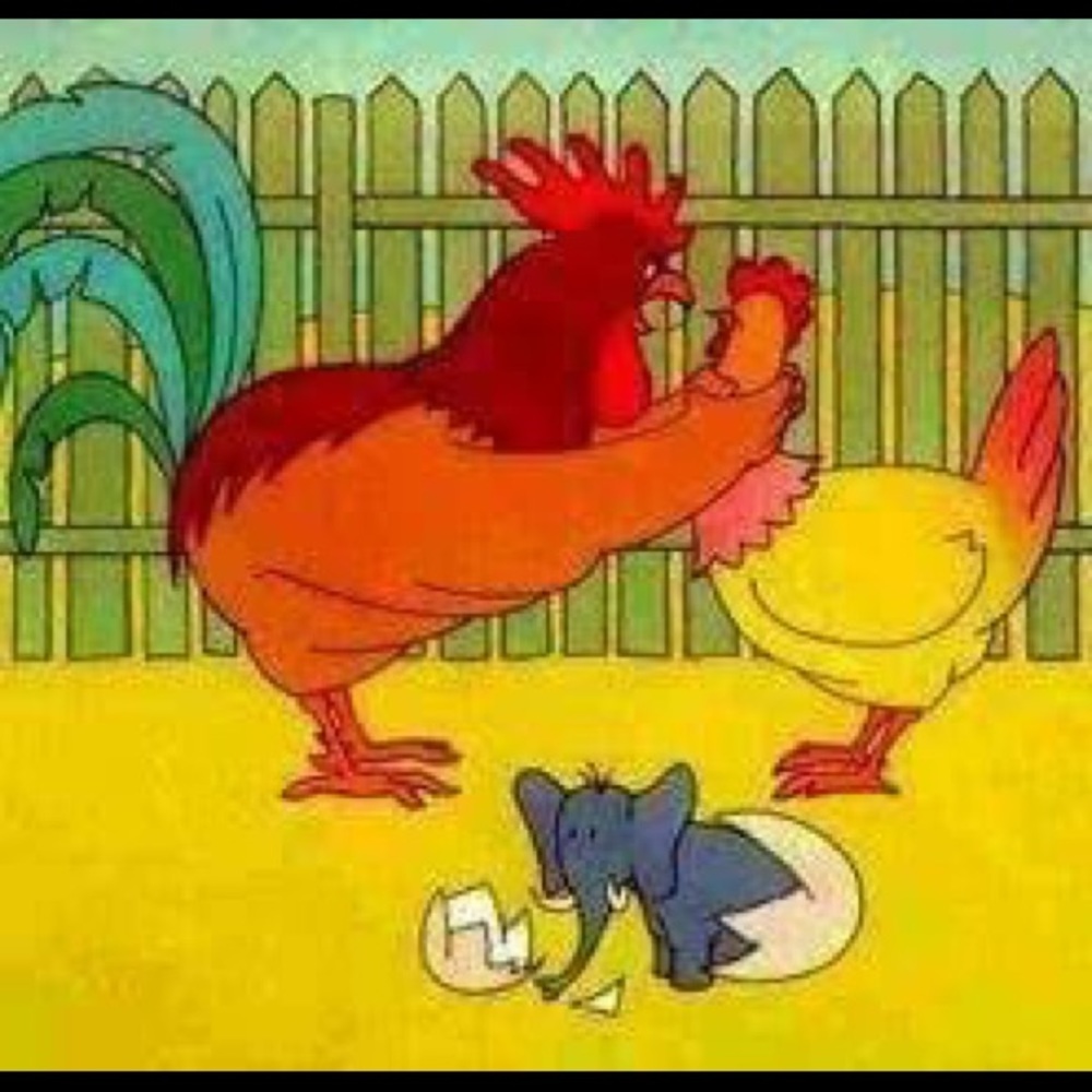 Meet your Posher, Mwenda