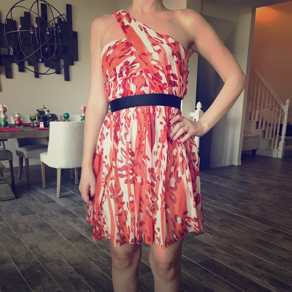 Cynthia Steffe silk dress