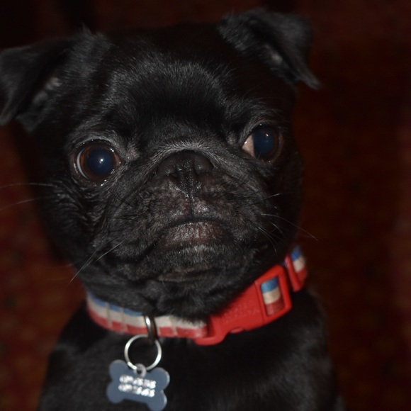 Meet your Posher, Hayley - Picture 1 of 1