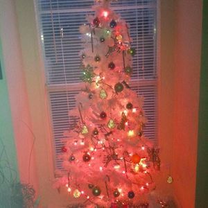 Meet your Posher, Dakia