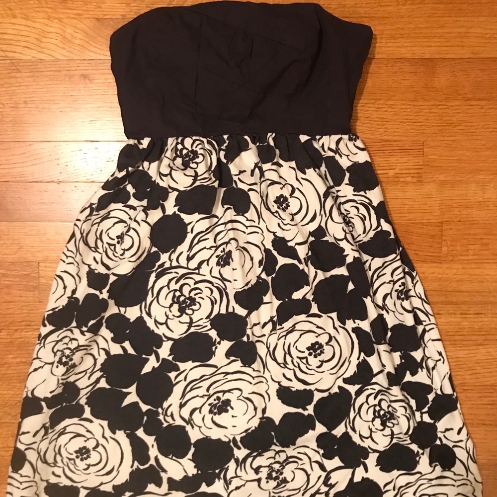 Anthropologie Dress - navy and cream white.