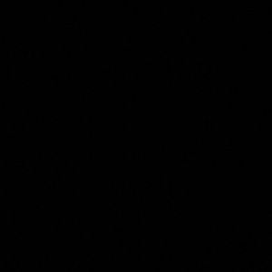 Meet your Posher, Leon