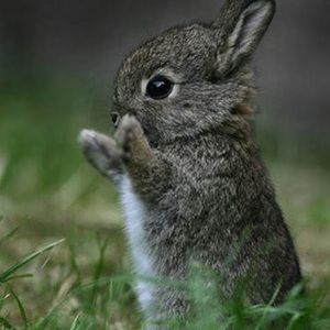 Meet your Posher, Mackenzie