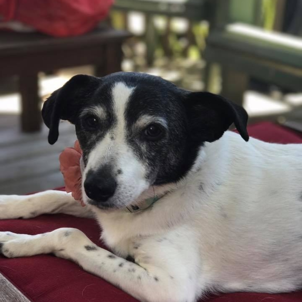 Meet your Posher, Lynn