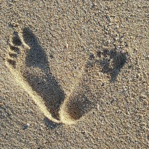 Meet your Posher, Thuy