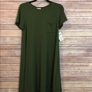 NWT Lularoe Solid Green Carly XS